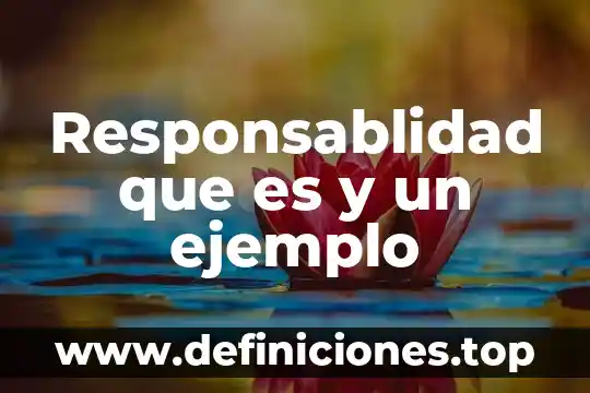 Responsablidad que es y un ejemplo