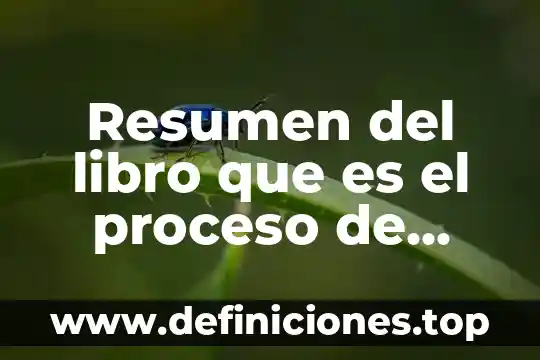 Resumen del libro que es el proceso de francesco carnelutti