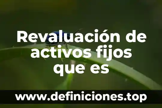 Que es rendimientos sobre activos y su formula 8 Revaluación de activos fijos que es