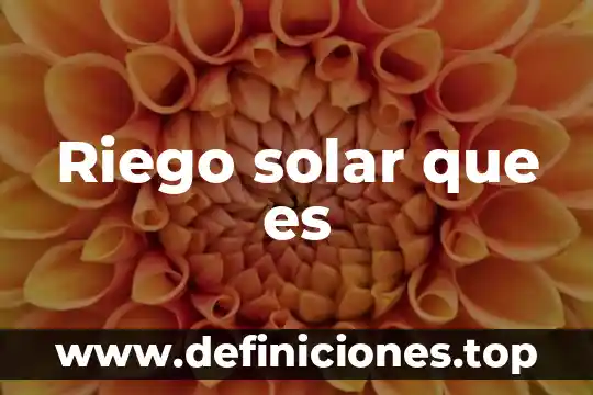 Qué es fps en bloqueador solar 6 Riego solar que es