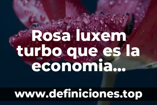 Política penitenciaria que es 4 Rosa luxem turbo que es la economia política