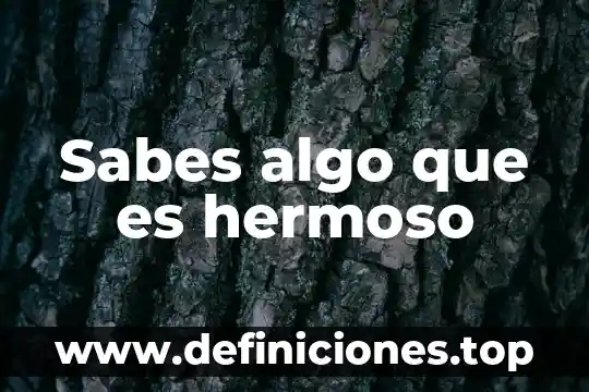 Que es un plan europeo 3 Sabes algo que es hermoso