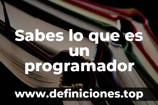 Sabes lo que es un programador