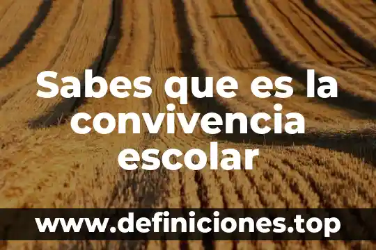 Que es el programa nacional de convivencia escolar pnce 5 Sabes que es la convivencia escolar