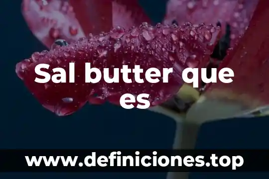 Sal butter que es