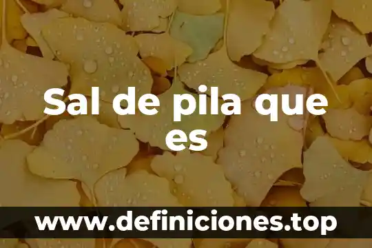 Sal de pila que es