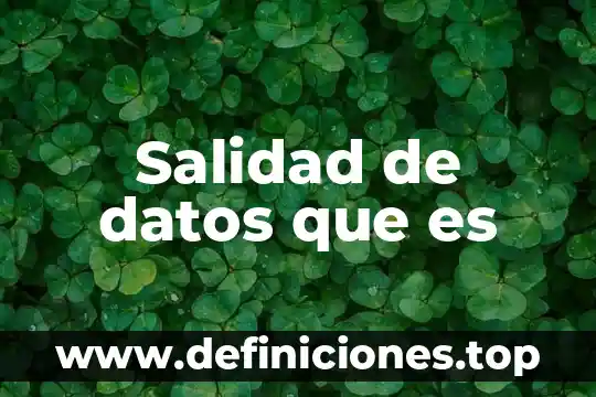 Salidad de datos que es
