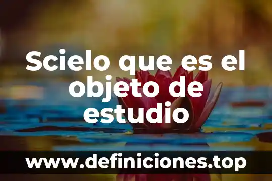Que es el objeto social de una sociedad 5 Scielo que es el objeto de estudio
