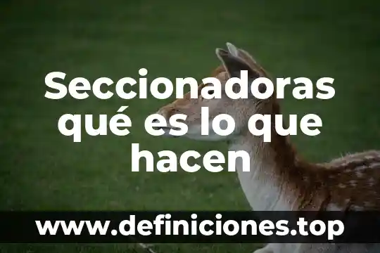 Que es lo que hacen las glenif 5 Seccionadoras qué es lo que hacen