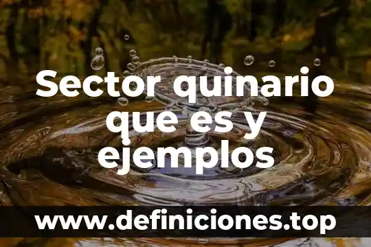 Que es asiento simple y compuesto ejemplos 3 Sector quinario que es y ejemplos
