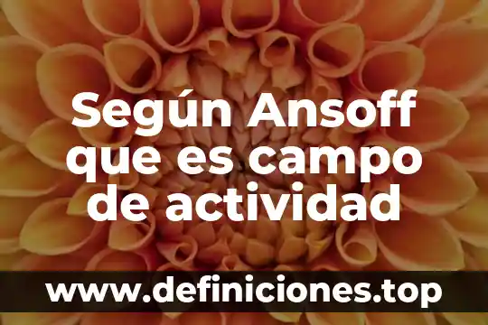 Según Ansoff que es campo de actividad