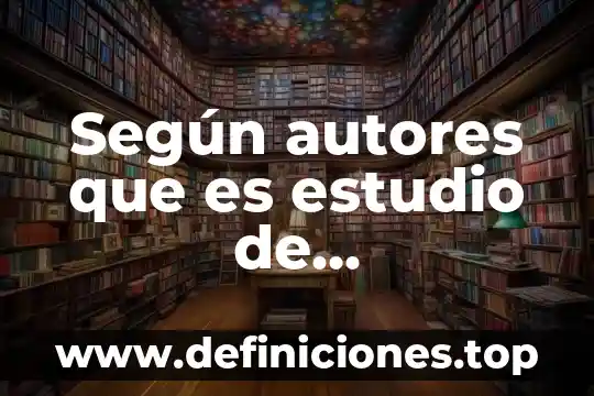 Según autores que es estudio de organizacionales