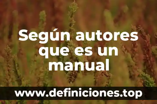 Según autores que es un manual