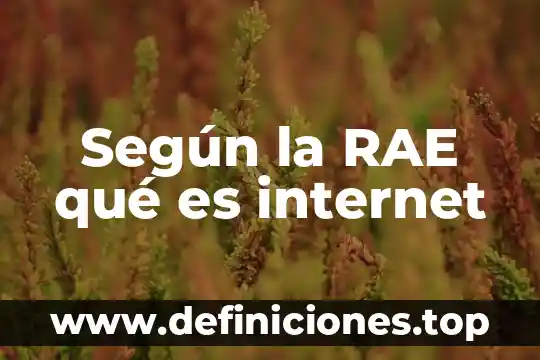 Qué es la lógica en el diccionario rae 3 Según la RAE qué es internet