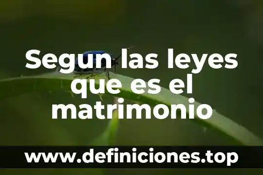 Qué es estequiometría en química leyes 3 Segun las leyes que es el matrimonio