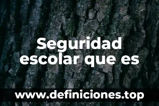 Qué es la violencia familiar y escolar 3 Seguridad escolar que es