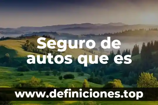 Qué es un seguro sash 8 Seguro de autos que es