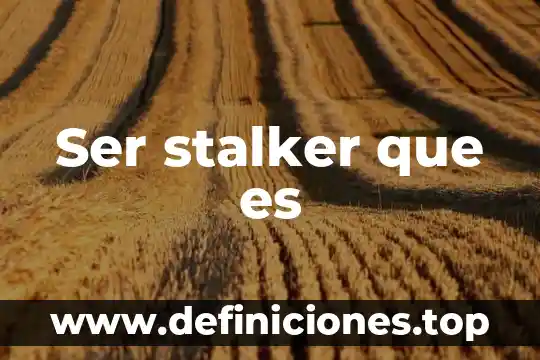 Ser stalker que es
