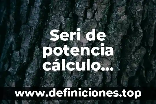 Que es una derivacion por incrementos en calculo 6 Seri de potencia cálculo ejemplos y que es
