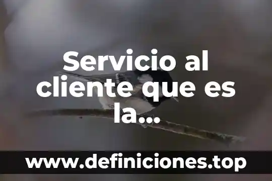 Que es un cliente en un sistema de red 8 Servicio al cliente que es la compraventa