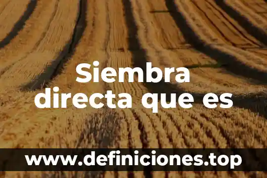 Siembra directa que es
