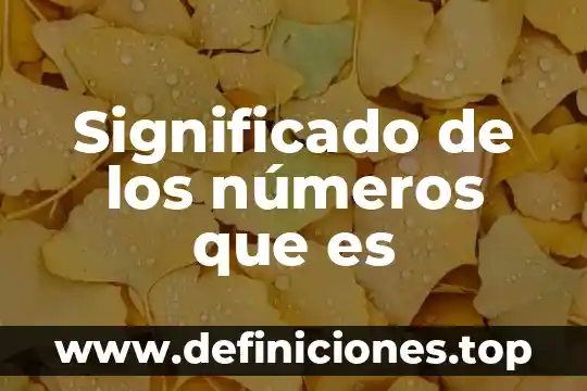 Significado de los números que es