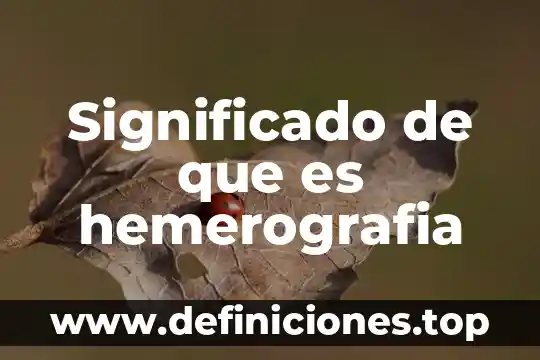 Que es una piñata significado 5 Significado de que es hemerografia