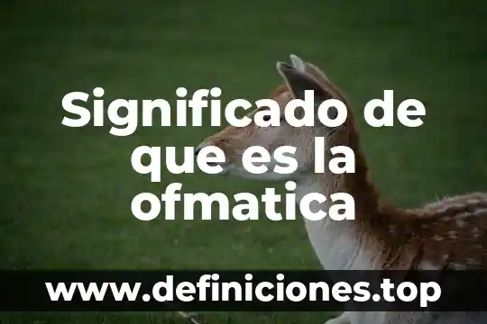 Significado de que es la ofmatica