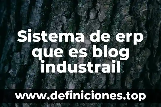 Sistema de erp que es blog industrail