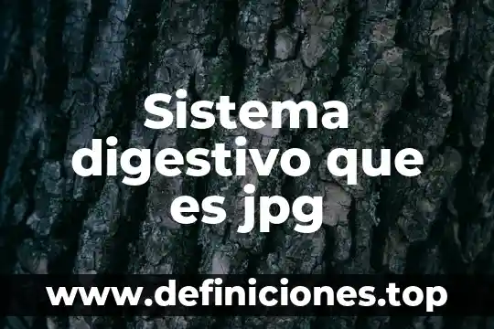 Sistema digestivo que es jpg