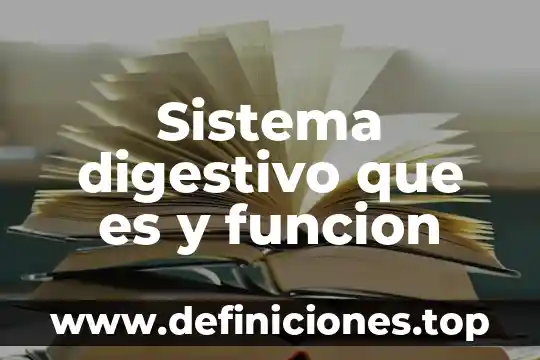 Que es una exprecion de una funcion lin 6 Sistema digestivo que es y funcion