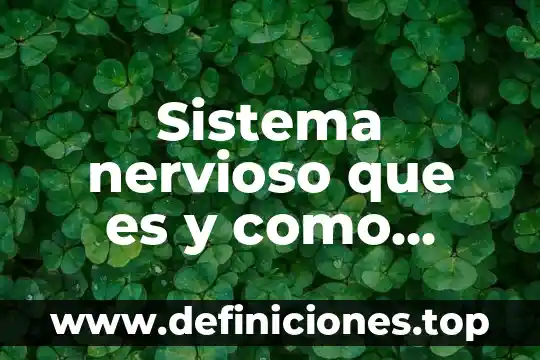 Que es un servidor como funciona y que tipos 5 Sistema nervioso que es y como funciona que lo conformado