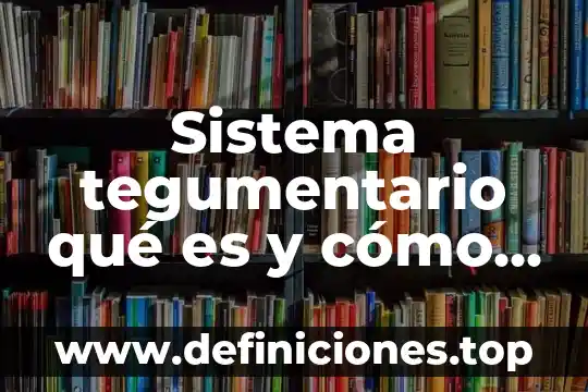 Que es el sistema tegumentario y sus anexos 5 Sistema tegumentario qué es y cómo funciona