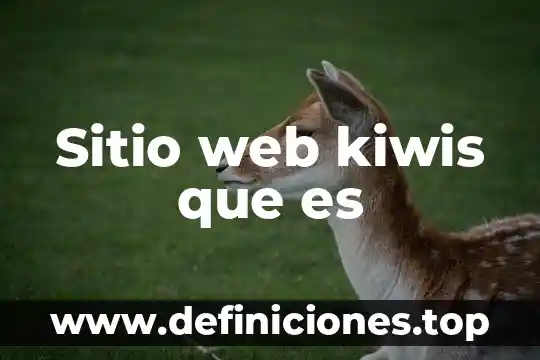 Que es un sitio web cooperativos 3 Sitio web kiwis que es