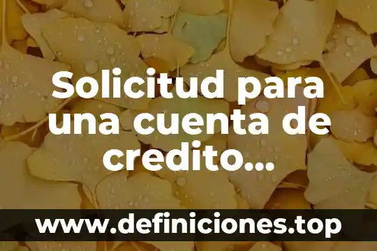 Solicitud para una cuenta de credito individual que es