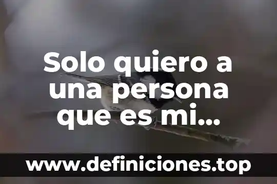 Solo quiero a una persona que es mi novio