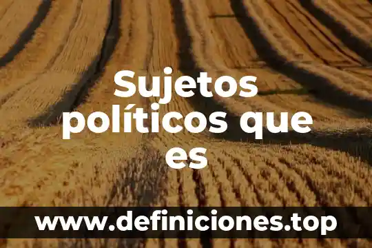 Que es la red de jovenes politicos de las americas 7 Sujetos políticos que es