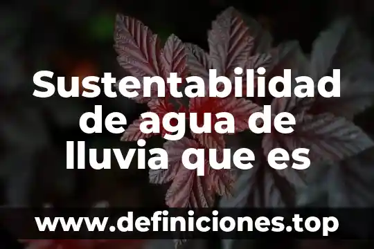 Que es implicaciones ecologicas lluvia acida 3 Sustentabilidad de agua de lluvia que es