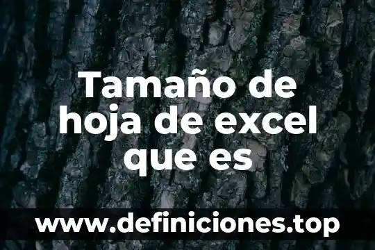 Tamaño de hoja de excel que es