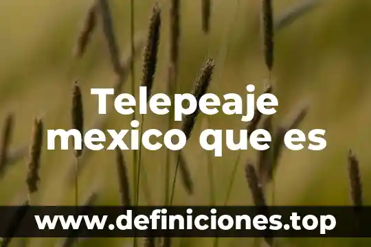 Que es y como se mide la inflacion en mexico 8 Telepeaje mexico que es