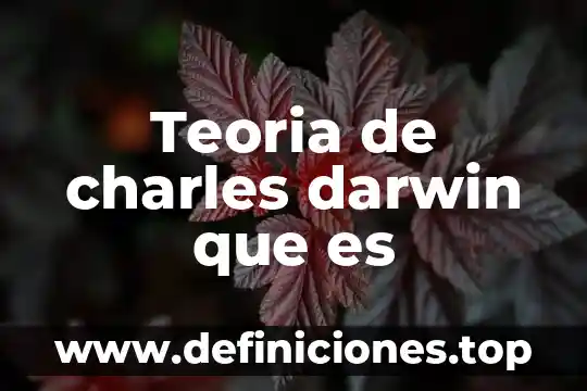 Que es la teoria clasica resumen 7 Teoria de charles darwin que es