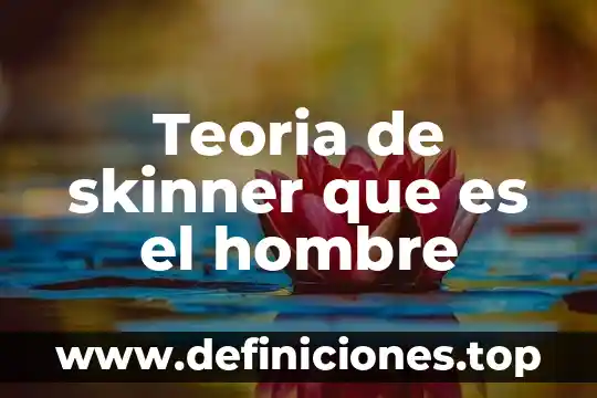 Teoria de skinner que es el hombre