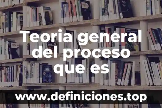 Teoria general del proceso que es