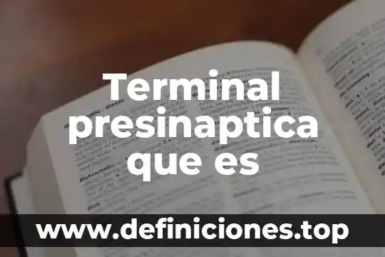 Terminal presinaptica que es