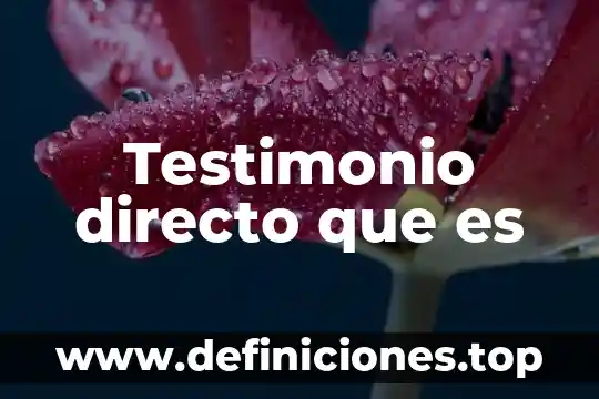 Qué es el costo directo en precios unitarios 8 Testimonio directo que es