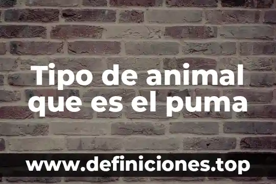 Tipo de animal que es el puma