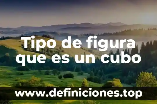 Qué es figura orgánica 5 Tipo de figura que es un cubo