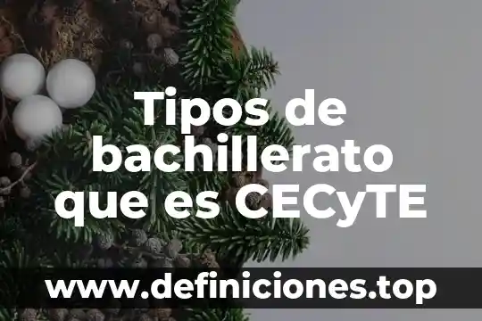 Tipos de bachillerato que es CECyTE