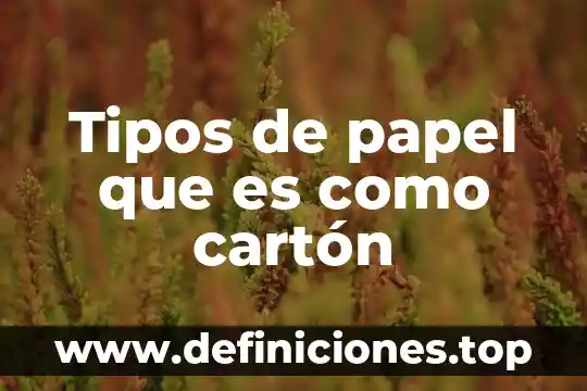 Qué es habilidad y sus tipos 4 Tipos de papel que es como cartón
