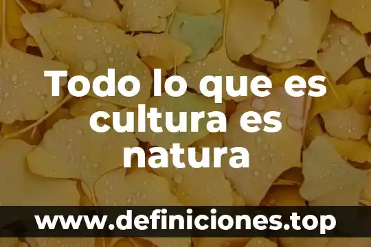 Que es plan todo incluido 3 Todo lo que es cultura es natura